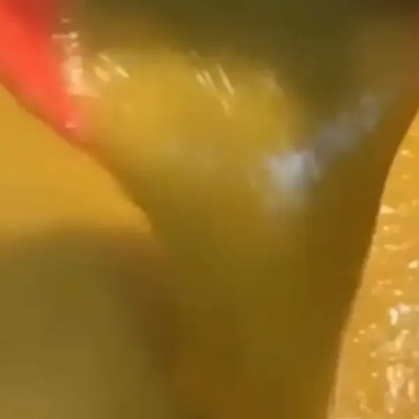 Sopa detox fit em 30 min: Saudavel e gostoso que nao parece dieta